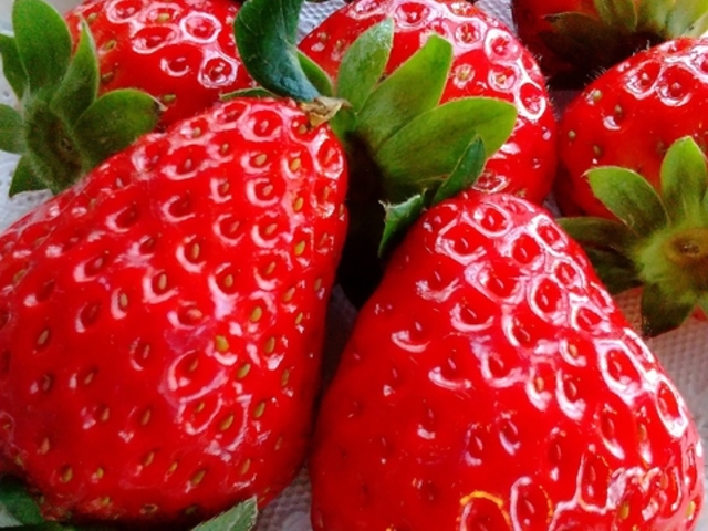 _Ƃ̏CAFE&BAR ܂ꂨ̎ʐ^1