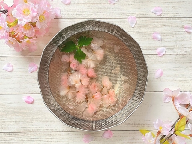 ����Ԃ���Ԃꂽ�� ���ڍ��{�X�̎ʐ^1