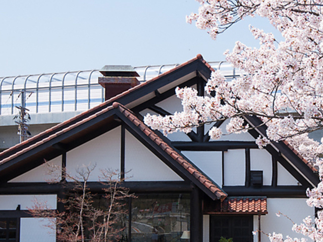 AY̎Oc 厛ΔDC̎ʐ^1