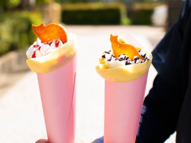 MAG CAT CAFE {̎ʐ^1