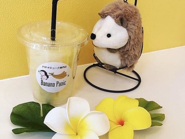 oiiW[XX oiipjbN wX̎ʐ^1