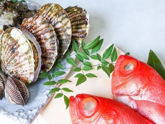 Sushi Biyori XVr̎ʐ^1