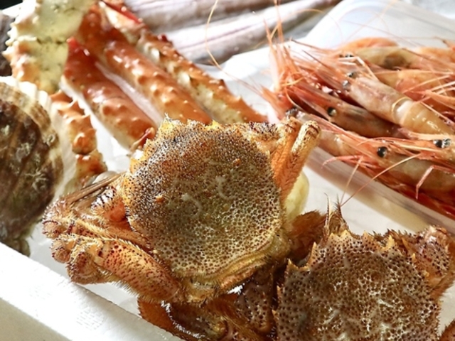 Ƌ̑䏊 Z 낭߂ JX̎ʐ^1