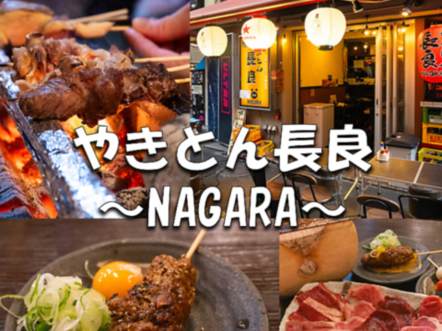 �₫�Ƃ񒷗� NAGARA ���~���̎ʐ^1