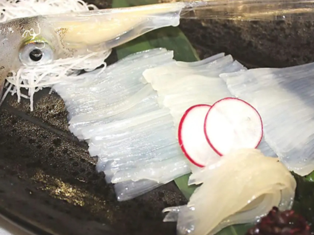 �C�N���@���َR�̎ʐ^1