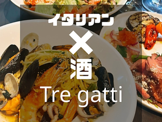 C^Ao@Tre GattiigKbeBj̎ʐ^1