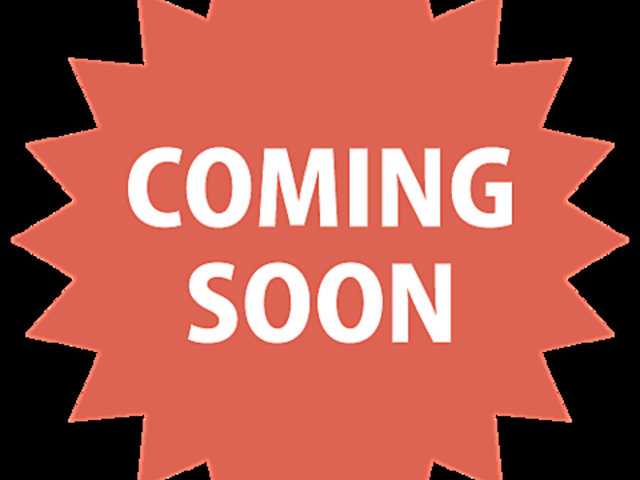 ���C���o�� �Ђ������̎ʐ^1