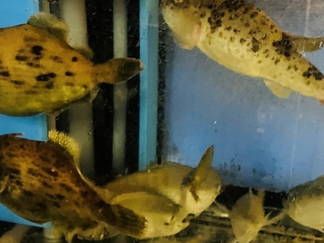 ���B ���͂�̎ʐ^1