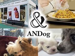 ANDog �A���h�b�O�̎ʐ^1