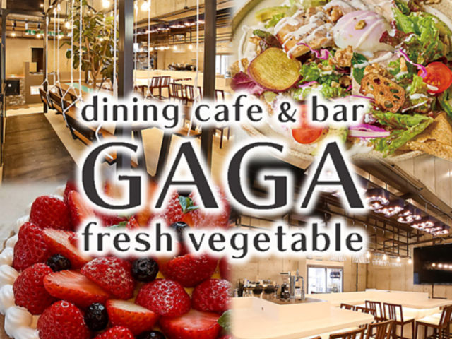 Dining cafe&bar GAGA�̎ʐ^1