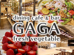 Dining cafe&bar GAGA�̎ʐ^1