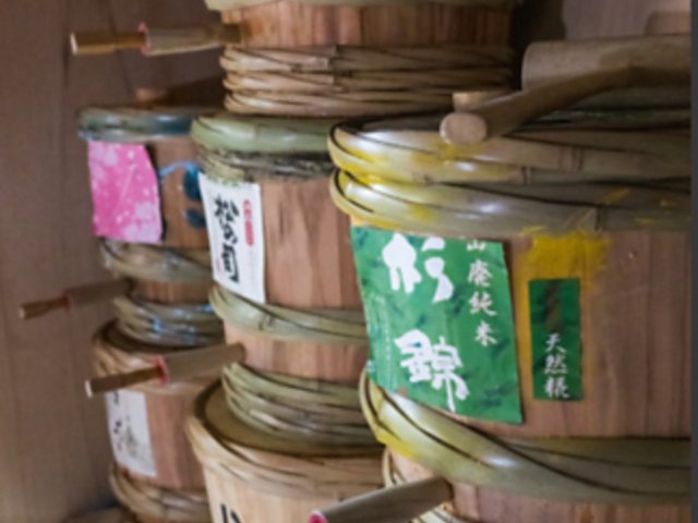 MƋ VIBES oCuX̎ʐ^1