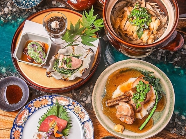 vibes �o�C�u�X�̎ʐ^1