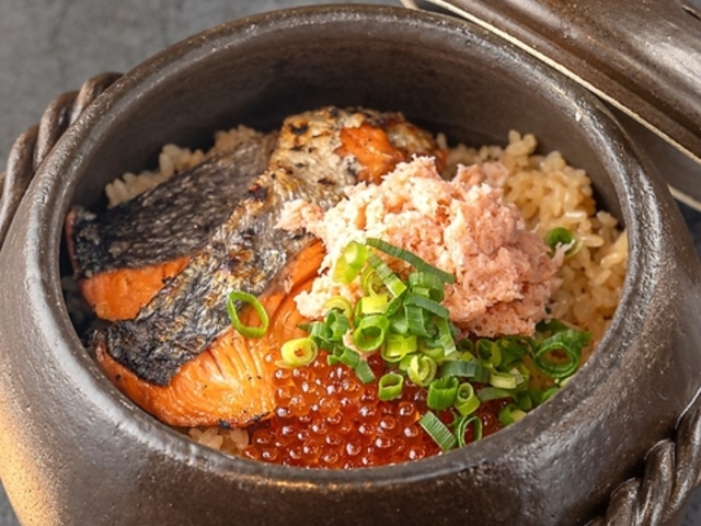 AOIYA AIC l߉X̎ʐ^1