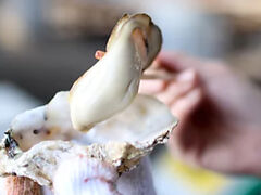 ƂɐY y HOPLAND dBԕ̎ʐ^1