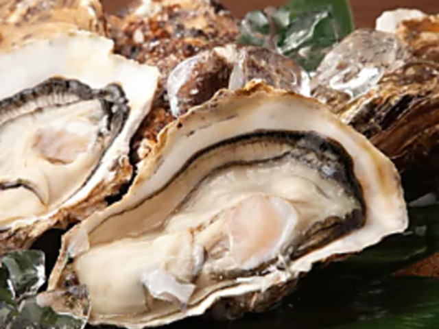 ƂɐYyuHOPLANDEPHRzSݓXv̎ʐ^1