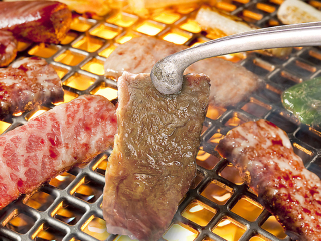 �ē������������q�̎ʐ^1