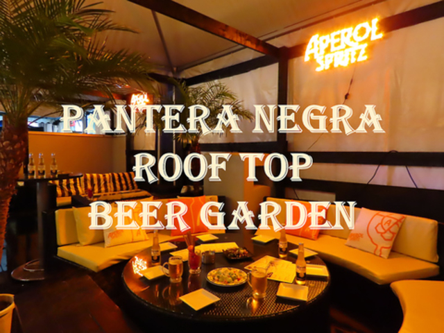 PANTERA NEGRA [tgbvrAK[f̎ʐ^1