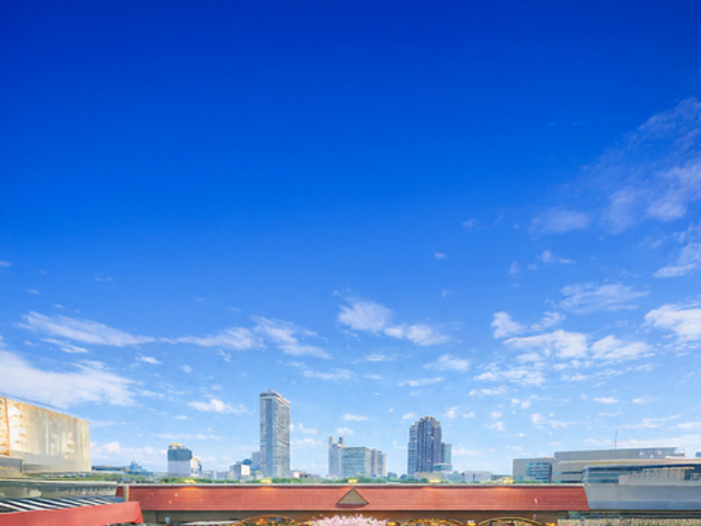 �����S�ݓX �r�ܓX ���r�A�t�F�X�^2026�̎ʐ^1