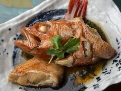 t芄B郐邢Vق̎ʐ^1