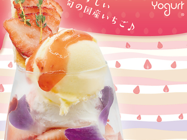 & Yogurt �A���h���[�O���g ���l�X�̎ʐ^1