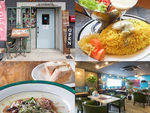 J[nEX KipeB F{X̎ʐ^1