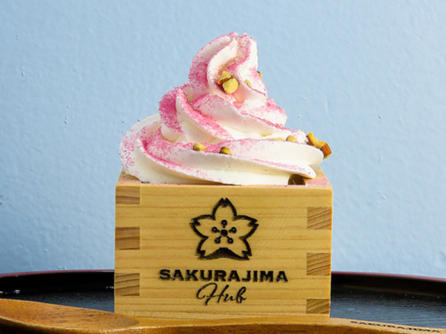 SAKURAJIMA HUB TNW} nu̎ʐ^1