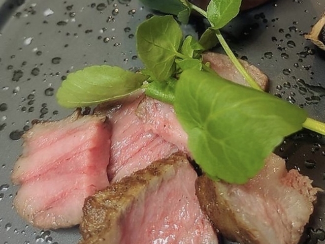 �r�������̎ʐ^1