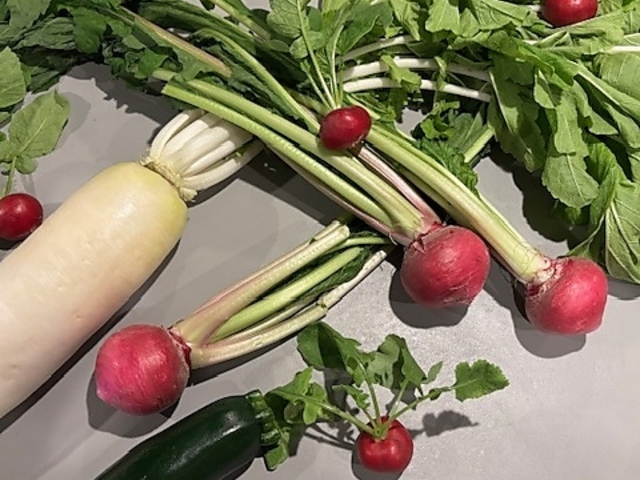 ؂ƒn{@ݕ@񂿂イ̎ʐ^1