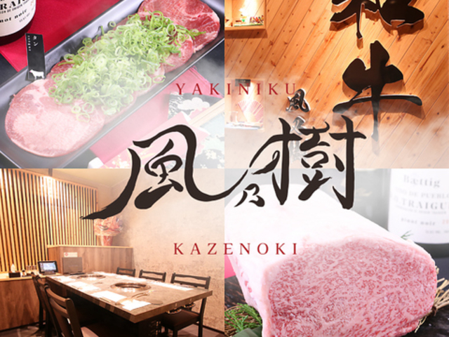 �ē� ���T���̎ʐ^1