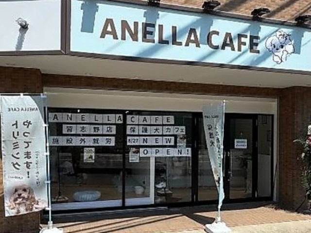ANELLA CAFE �A�l���J�t�F �K�u��X�̎ʐ^1