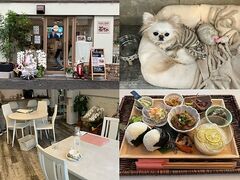 Cafe & BAR ������̎ʐ^1