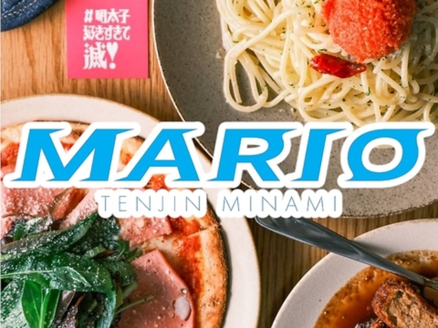 MARIO �V�_��̎ʐ^1