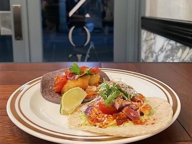 ���ƍ�@��e�Z�m�[�e�̎ʐ^1