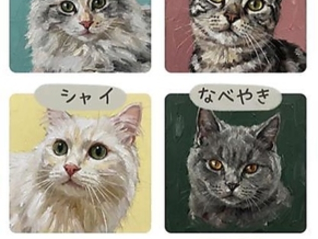 �]��neko�̎ʐ^1