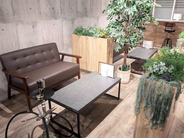 �V�[�V���i�� �A���o �k����{�X�̎ʐ^1