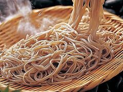 �R�̖������� �x�m�̍��̎ʐ^1