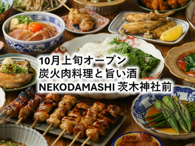 NEKODAMASHI �l�R�_�}�V ��ؐ_�БO�̎ʐ^1