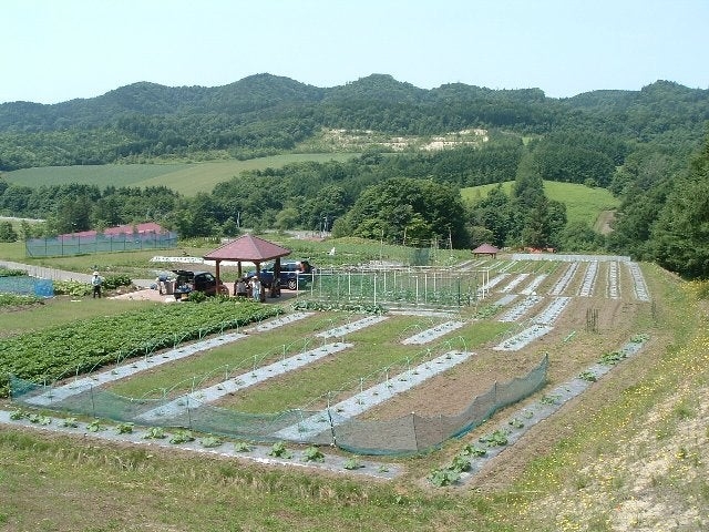 �R�m���̌��_��