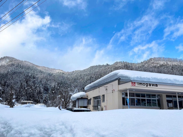 �������퉷��