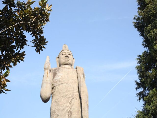 ���ю��̎ʐ^1