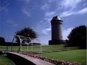 �ߐ{�삪�������W�]���i�T���T���^���[�j�̎ʐ^1