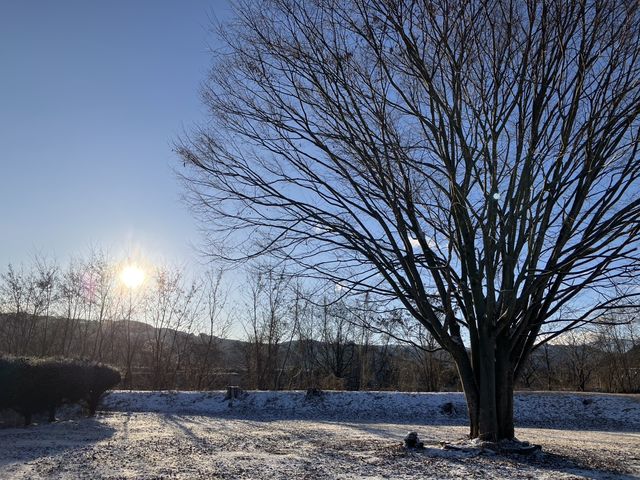 �c�[���X�g���T�a