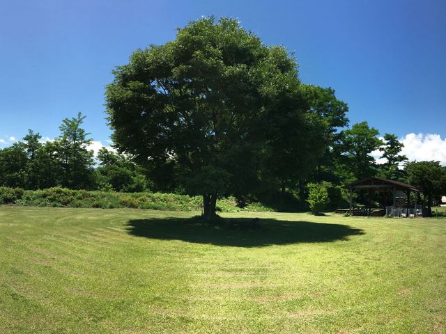 �J���I�ȏ���B�v�������V�񂶂Ⴈ���B_�c�[���X�g���T�a