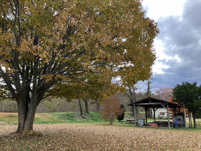 �c�[���X�g���T�a