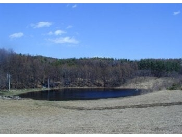 ���R�����L�����v��̎ʐ^1