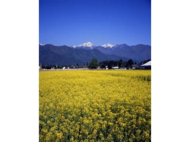 {̖uق肪˕YZ^[v̍؂̉