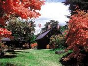 䉮~(^cِ)̃}ccW̎ʐ^1