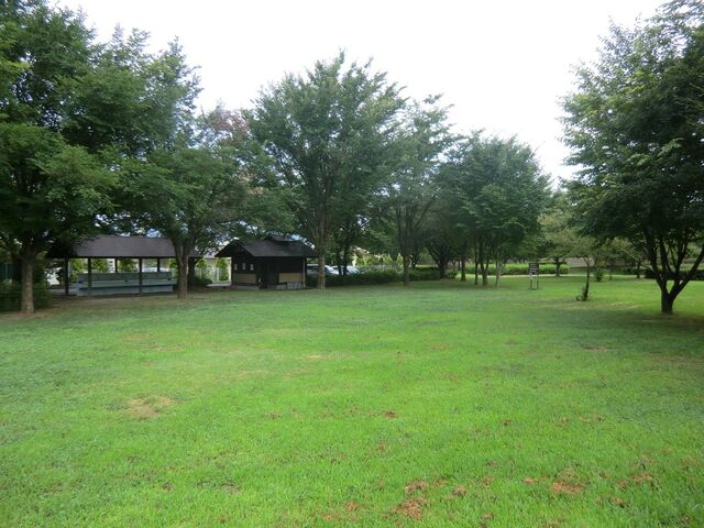 �������̗������L�����v��