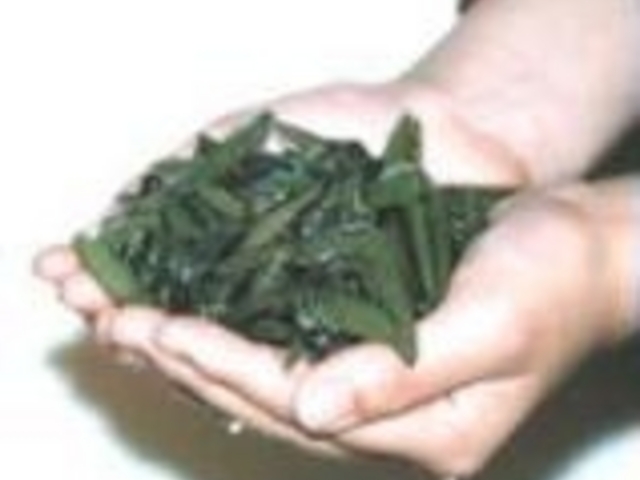 ����񂳂��E�ݎ��̌�_����񂳂��E�ݍ̂�̌�